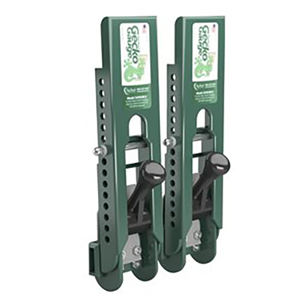 Gecko Guage (Pair) image