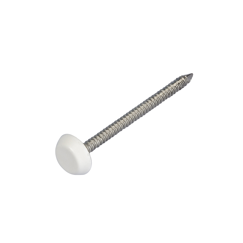 30mm White Stainless Steel Trimtop Nails Pack of 250 image